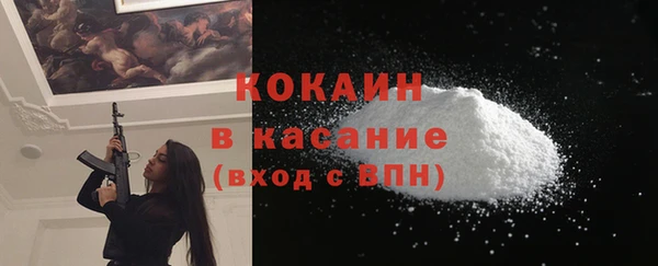 шишки Аркадак