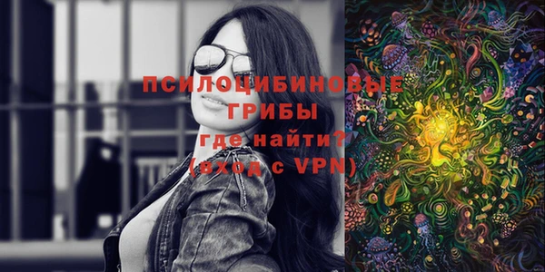 прущие крисы Алексеевка