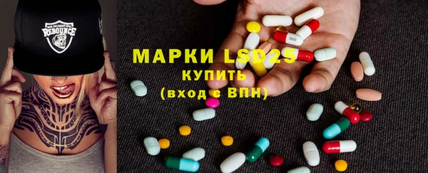 шишки Аркадак