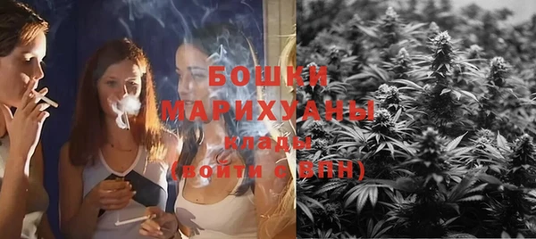 шишки Аркадак