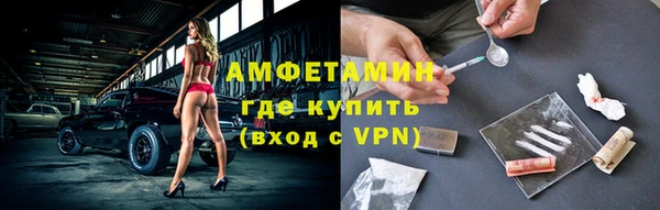 шишки Аркадак